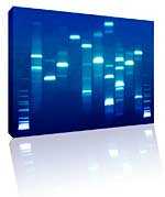 '...Kijk! Mijn unieke chromosomen!...'